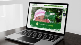 Willows Pre-School | Lucid Pulse