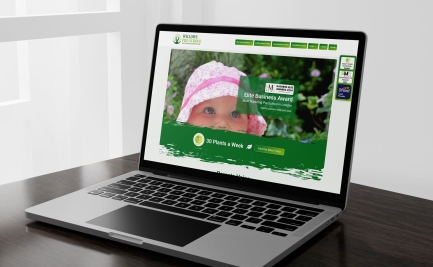 Willows Pre-School | Lucid Pulse