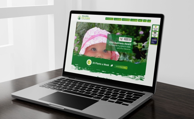 Willows Pre-School | Lucid Pulse